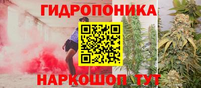 прущие крисы Ипатово