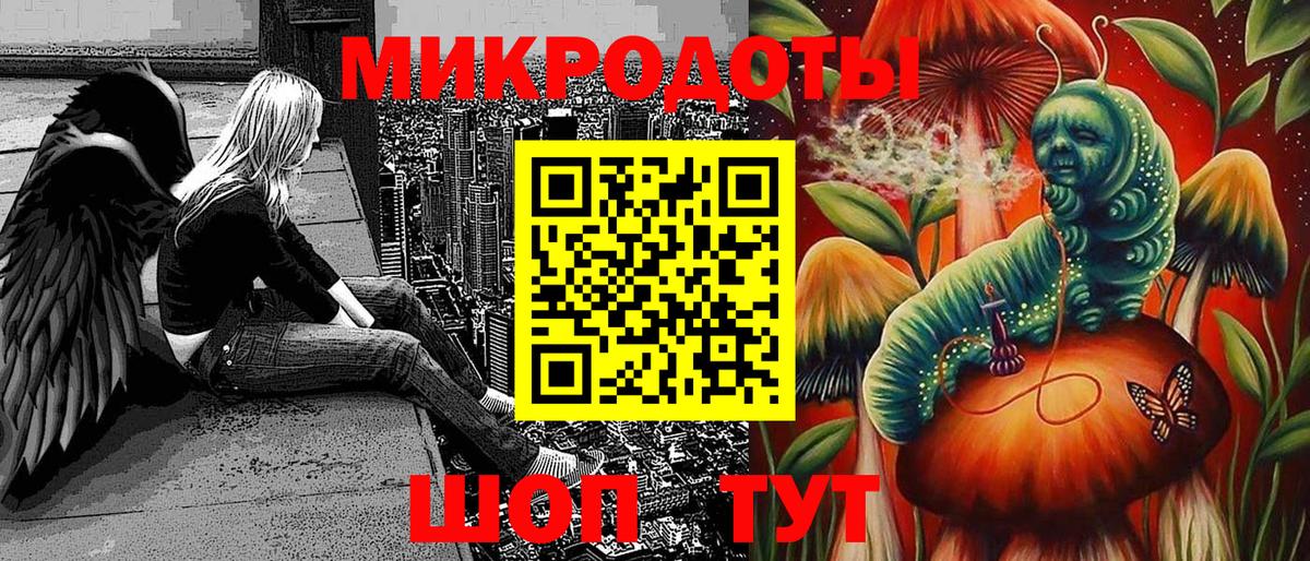 Галлюциногенные грибы Карачаевск