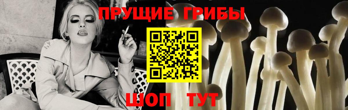 Карачаевск  Галлюциногенные грибы Psilocybine cubensis  Вход с VPN 